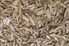 biomass boilers Lydd